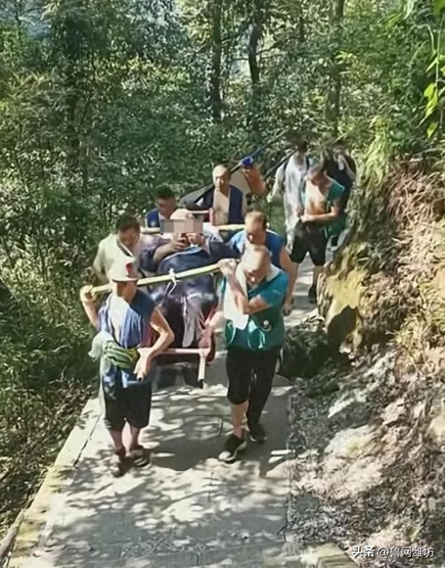 div, 当天他们从, div