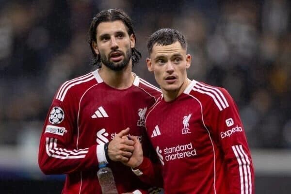 次不传维尔 次不传维尔